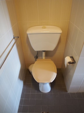A small, tiled bathroom with a toilet, a handrail, and a toilet paper holder. - Ascot Motor Inn (Sydney)