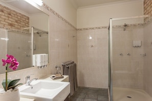 A modern bathroom with a glass shower enclosure, a large mirror, and a sink with a plant. - Highlander Motor Inn (Toowoomba)
