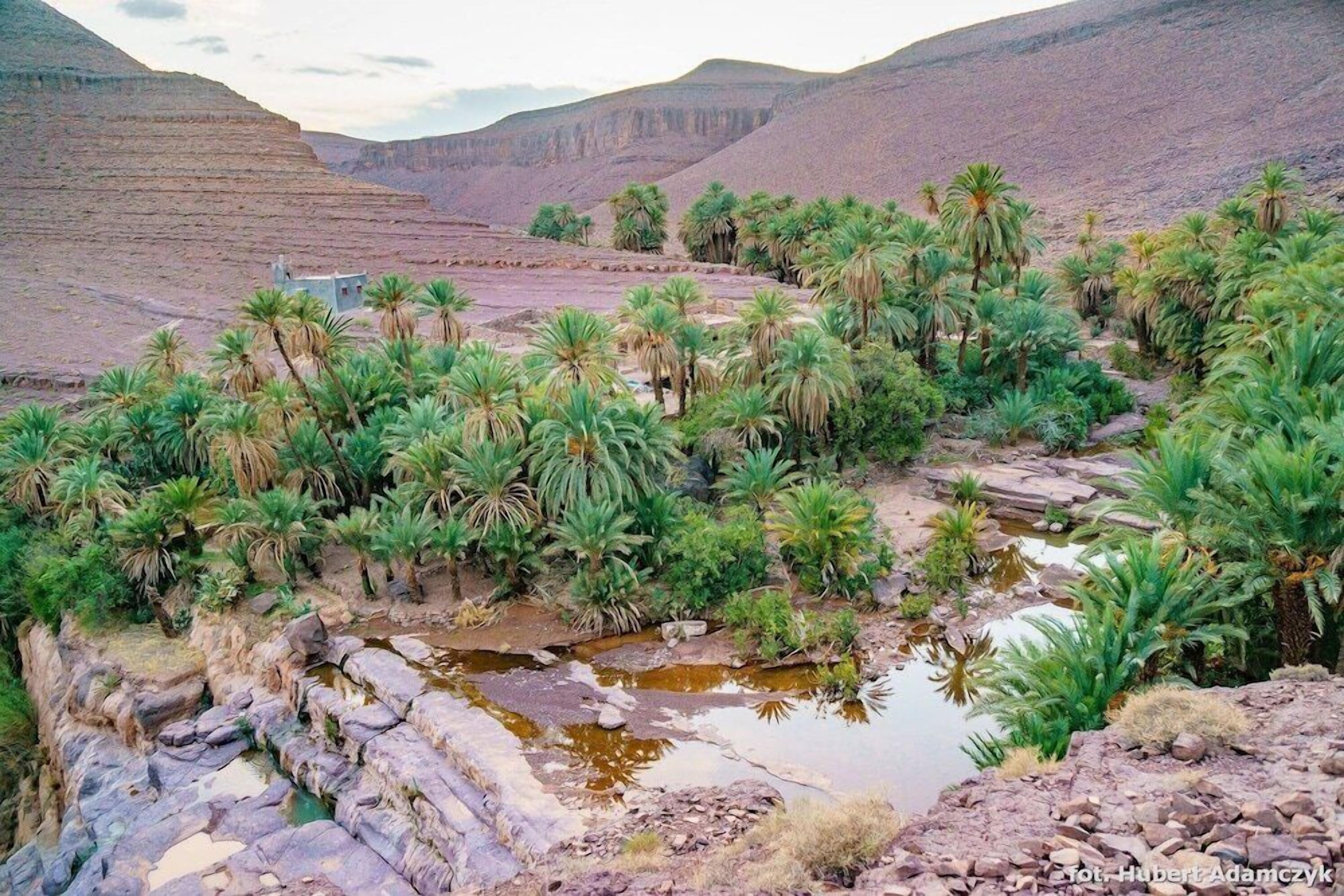 A rocky landscape with palm trees and a small stream.