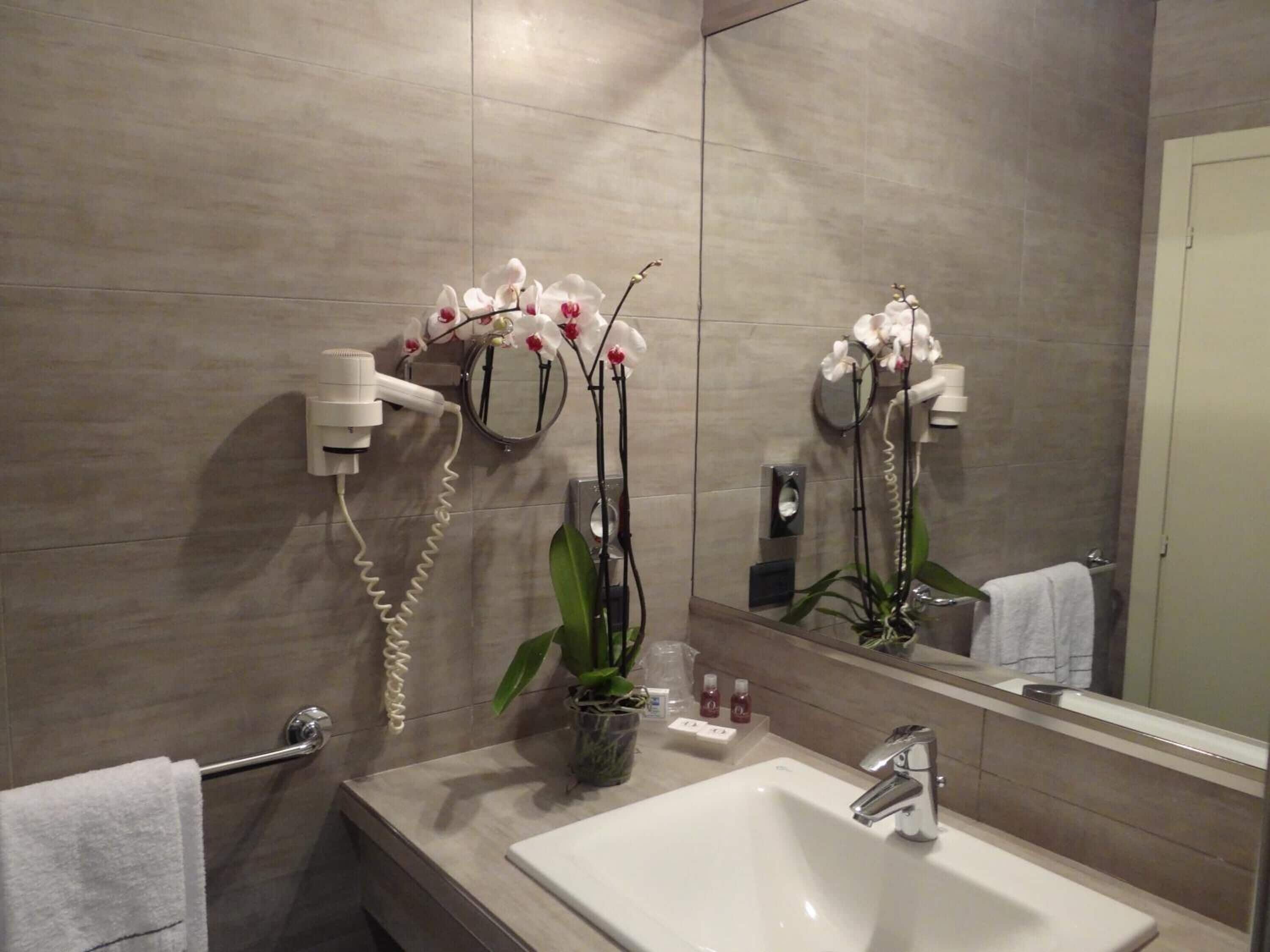 A bathroom with a sink, mirror, hairdryer, and orchid plant.