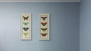 Una habitación con paredes azul claro, un escritorio blanco con un espejo, y dos obras de arte con mariposas enmarcadas.