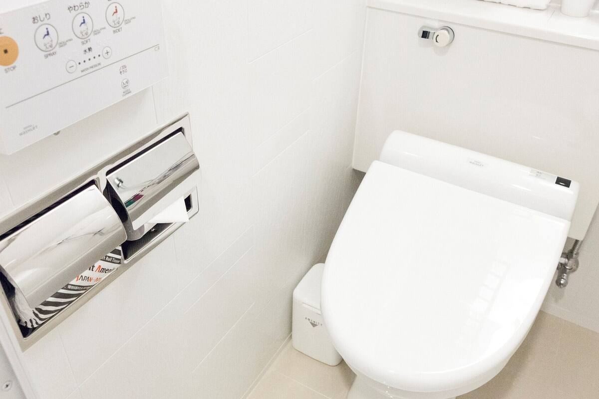 A modern toilet with a flush button and a toilet paper dispenser.