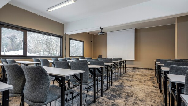 Een vergaderruimte met tafels en stoelen, een projectiescherm en ramen met uitzicht op bomen.