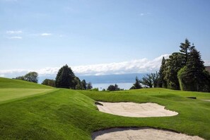 Golfe