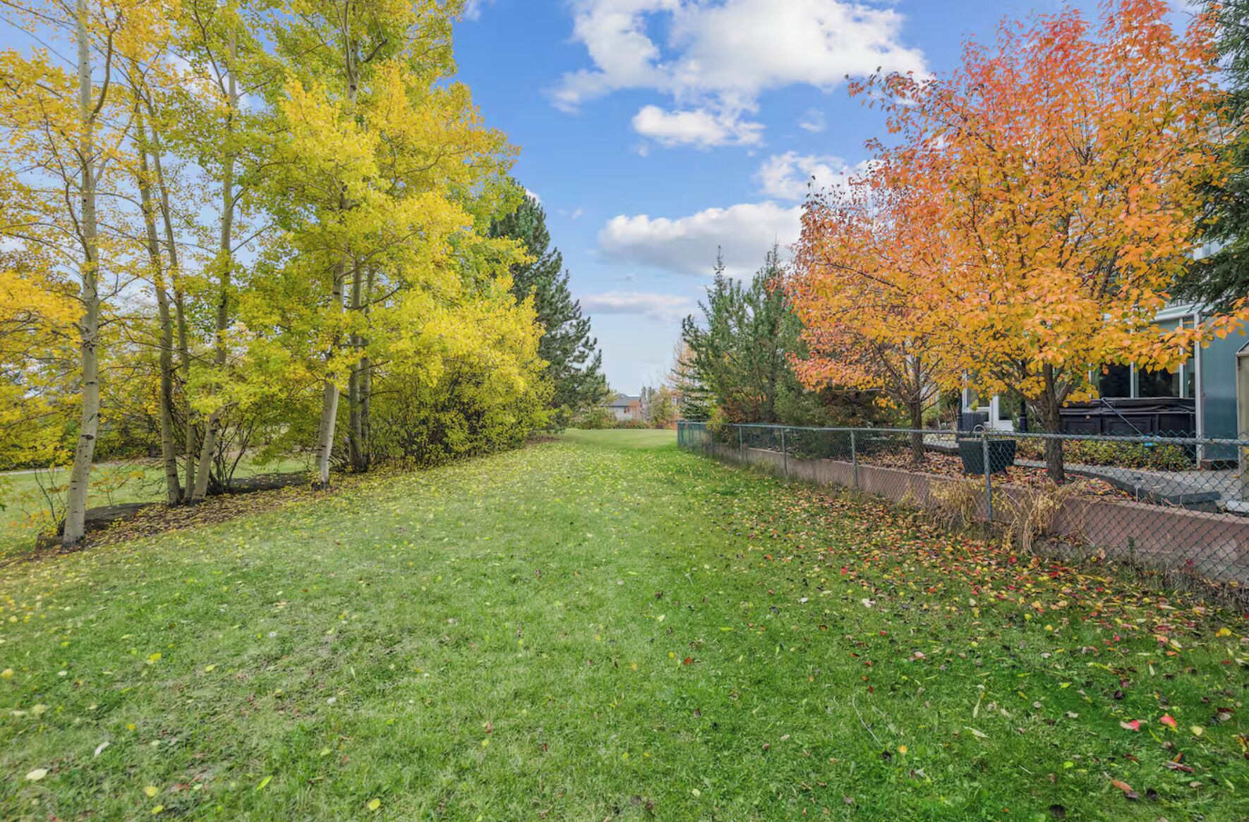 A grassy yard with trees displaying autumn foliage, a chain-link fence, and a building in the background.