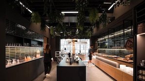 Une cuisine moderne dotée d’un îlot central, de vitrines et de plantes suspendues.