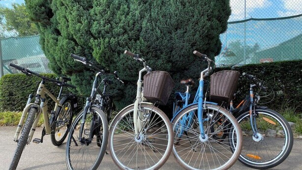 Three bicycles parked in a row with baskets attached to the front, positioned in front of a large, dense green hedge and a chain-link fence.