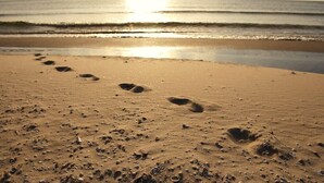 A sandy beach with footprints leading to the water, scattered shells, and a sunset in the background. - Aalbaek Badehotel, Sure Hotel Collection by Best Western (Aalbaek)