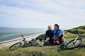 Beach - Aalbk Gl. Kro (Aalbaek)
