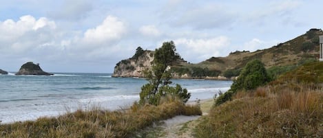 Strand