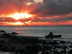 Beach - The Sands Hotel Hokianga (Omapere)