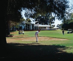 Um campo de golfe com um clube, um putting green e uma armadilha de areia.