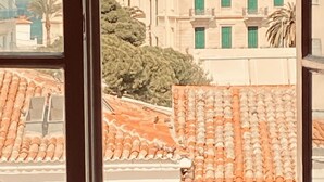 A view through a window of a building with a tiled roof and a large tree in the foreground. - Faros (Spetses)