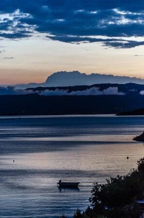 Miscellaneous - Porat (Neum)