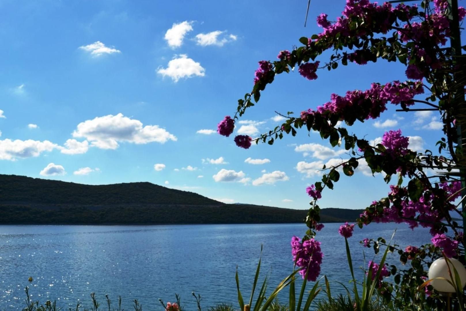 Un lago con colinas al fondo y flores moradas en primer plano.
