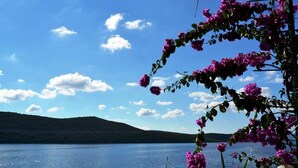 A lake with hills in the background and purple flowers in the foreground. - Hotel Porat (Neum)