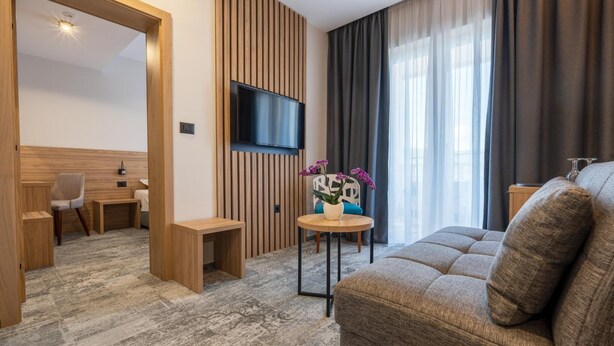 A modern hotel room with a flat-screen TV mounted on a wooden panel wall, a sofa, a small round table with a potted plant, and a chair. - Hotel Porat (Neum)