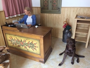 Lobby - Apartment House Berghi Ii (Kranjska Gora)