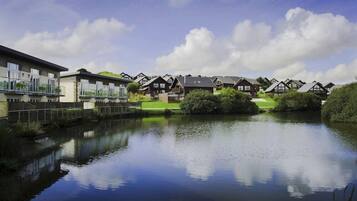 A lakeside residential area with modern and traditional houses, a calm lake, and a clear sky.