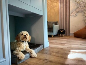 Un chien installé confortablement dans un coin douillet, avec un mur bleu et un plancher en bois.