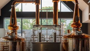 A distillery with copper stills and a large window.