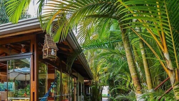 Un complexe hôtelier tropical doté d’un espace de restauration entièrement vitré, d’une terrasse en bois et d’une végétation luxuriante.
