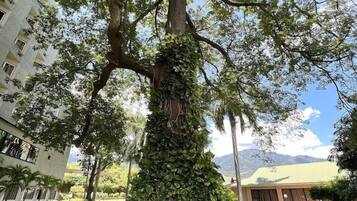 Khuôn viên nơi lưu trú