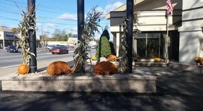 Khuôn viên nơi lưu trú