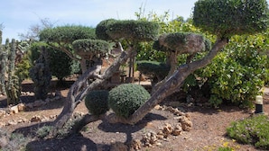 Jardines del alojamiento
