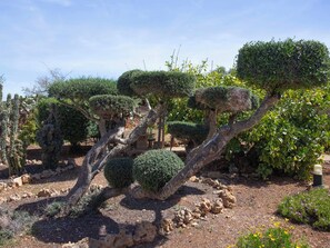 Property grounds - Ca na Ines by Interhome (Son Serra Marina)