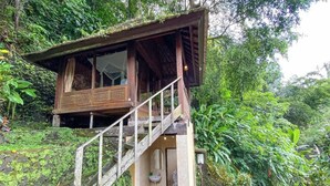 A wooden cabin with a staircase leading to a balcony, surrounded by lush greenery. - Bali Jungle Huts (Sebatu)