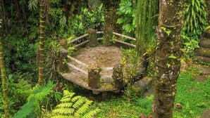 A circular stone structure surrounded by dense tropical vegetation. - Bali Jungle Huts (Sebatu)