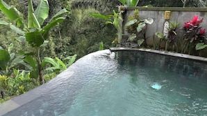 A swimming pool surrounded by lush greenery and tropical plants. - Bali Jungle Huts (Sebatu)