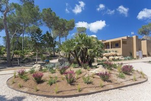 Property grounds - Apartamentos Ses Eufabietes (Formentera)