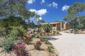 Property grounds - Apartamentos Ses Eufabietes (Formentera)