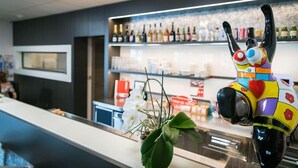 Un coin bar agrémenté d’une sculpture colorée représentant un lama, de différentes bouteilles exposées sur des étagères et d’une plante en pot ornée de fleurs blanches.