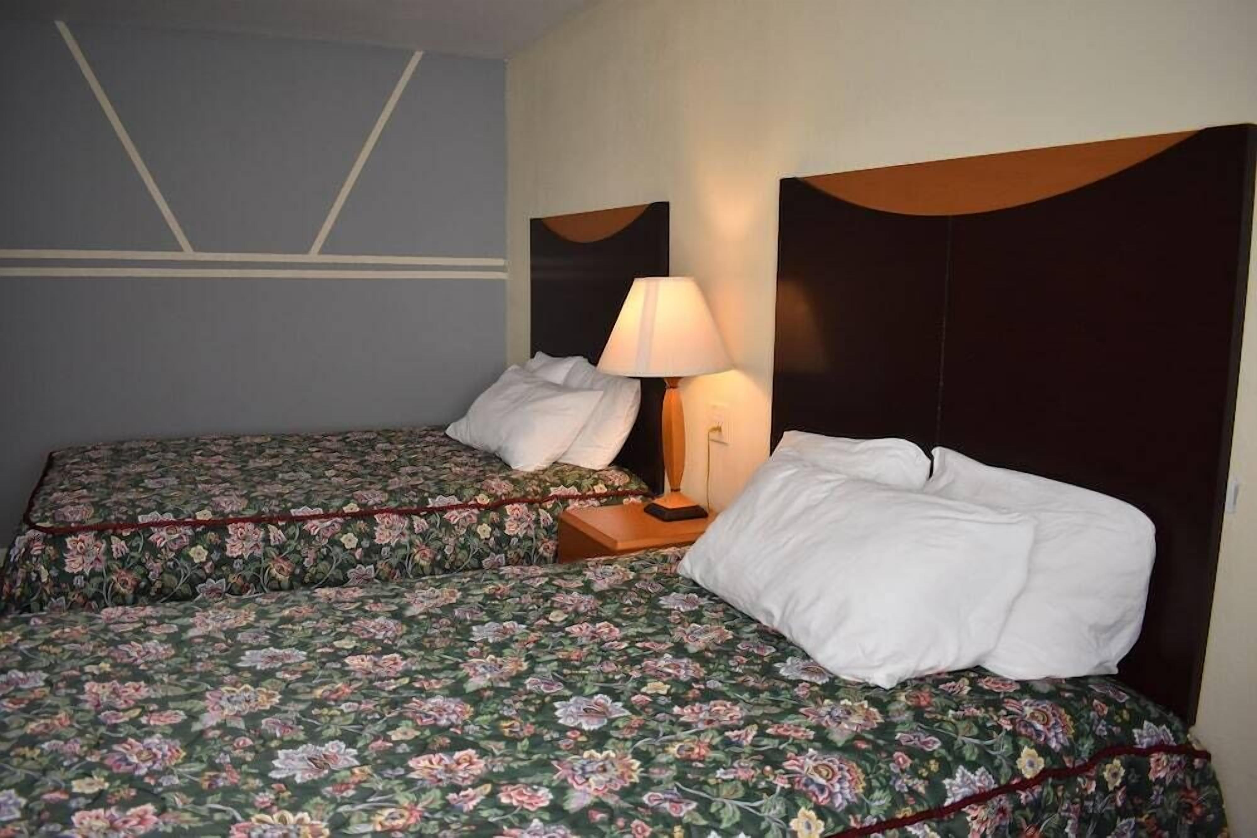 Une chambre d’hôtel avec deux lits, chacun agrémenté d’une literie à motifs floraux, une table de chevet avec une lampe et une tête de lit.