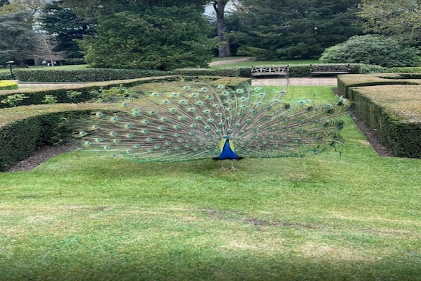 Parco della struttura