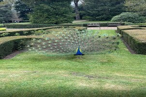 บริเวณที่พัก