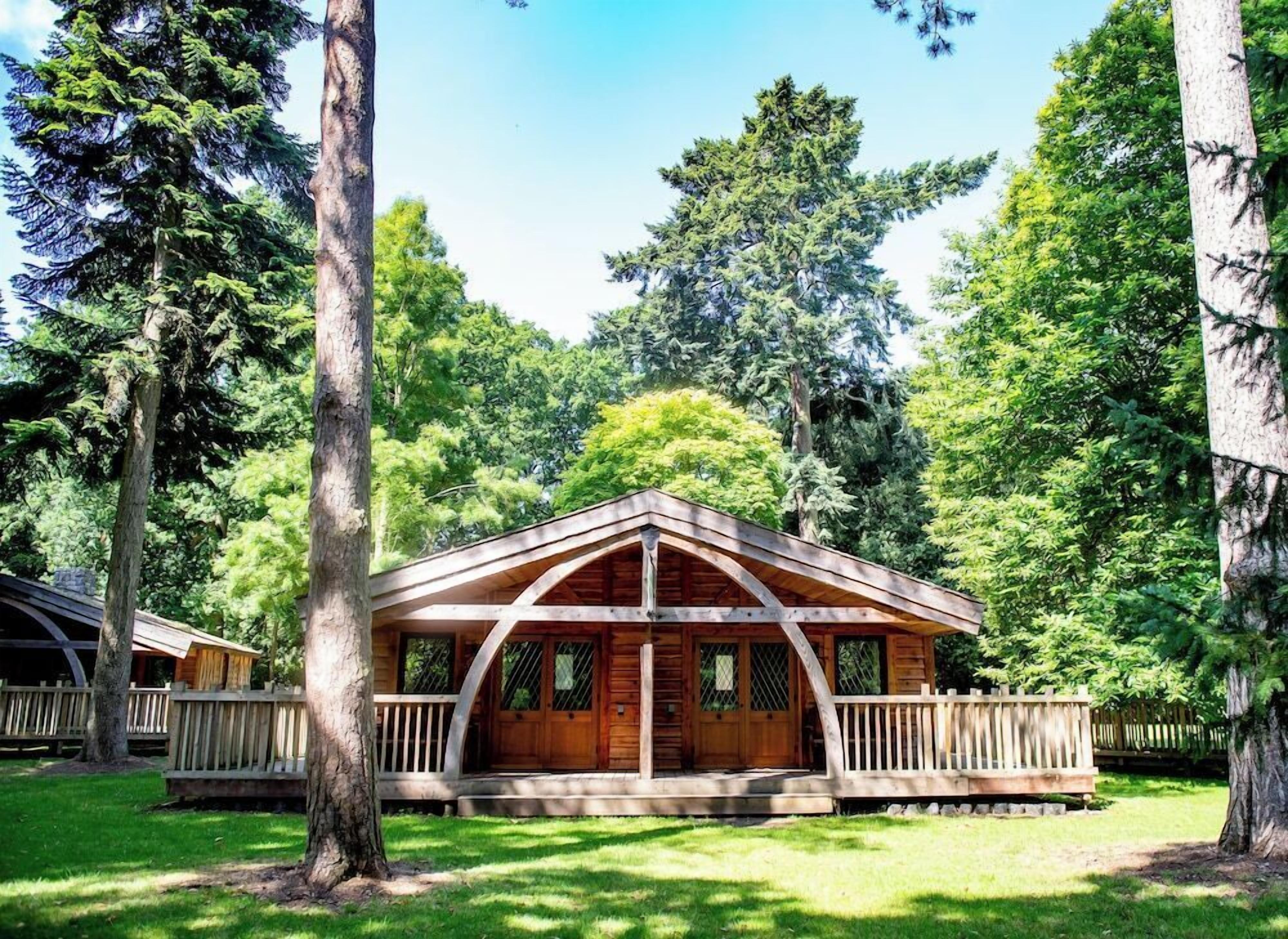 A wooden cabin with a porch, surrounded by tall trees and a grassy area.