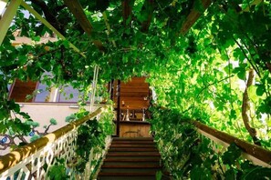 Property grounds - Sef Cave Hotel (Nevşehir)