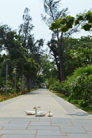 A paved pathway lined with trees and shrubs, leading into a park area. - Welcomhotel by ITC Hotels, Kences Palm Beach (Tirukalukundram)