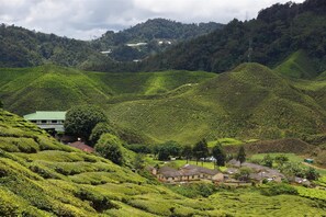 Miscellaneous - David's Hotel Apartment @ Greenhill Resort (Tanah Rata)