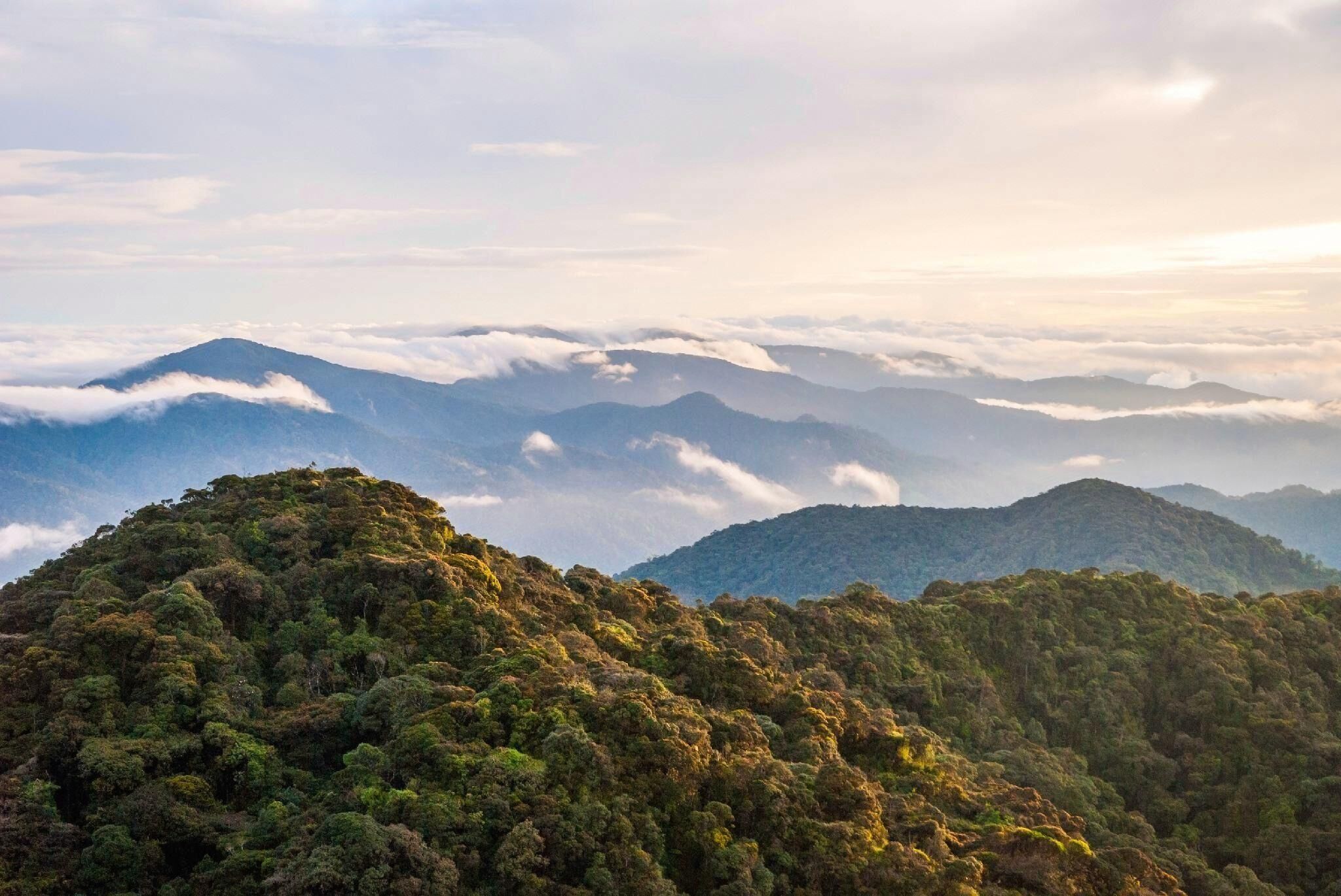 Un paisaje montañoso con densa cubierta forestal y vistas a montañas distantes.