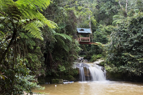 A rustic wooden structure with a thatched roof, situated in a lush forest setting with a waterfall in the background. - David's Hotel Apartment @ Greenhill Resort (Tanah Rata)