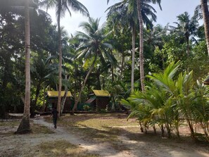 Área da propriedade