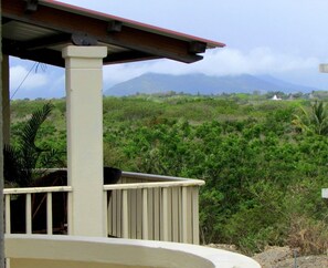 Property grounds - Golden Rod Villa (Belle Mare)