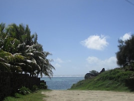Una playa con palmeras, un sendero arenoso y vistas al océano.