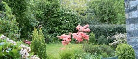 บริเวณที่พัก