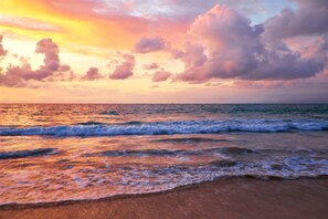 Beach - D Primahotel Pantai Losari Makassar (Makassar)